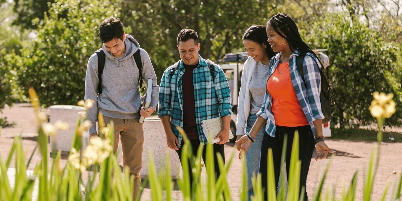 Educación en Ocala: Las Mejores Escuelas y Universidades 