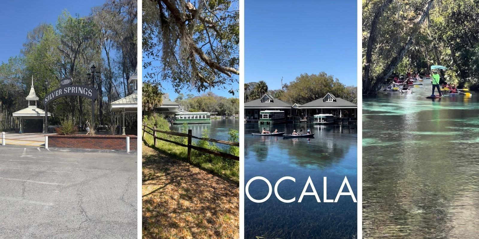 Recreación y Ocio en Ocala: Tu Guía Completa para Divertirte en Grande