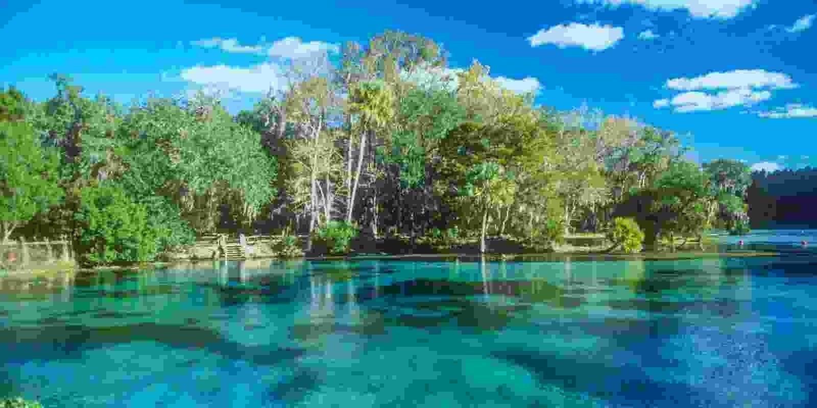 Servicios Públicos en Ocala: Tu Guía Completa para una Mudanza Tranquila 