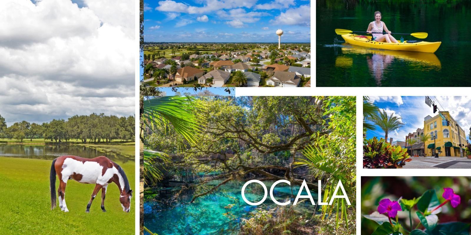 Ocala: Tu centro de operaciones en Florida Central