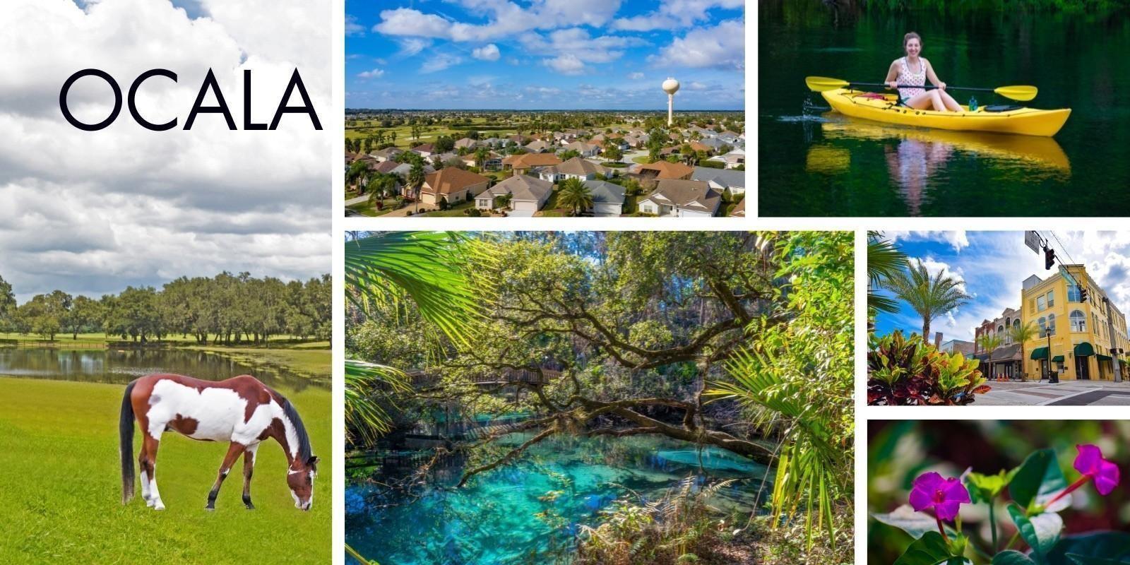 El Refugio Ideal para Vivir y Crear Tu Futuro Inmobiliario